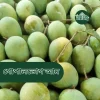 গোপালভোগ আম (Pre-Order)