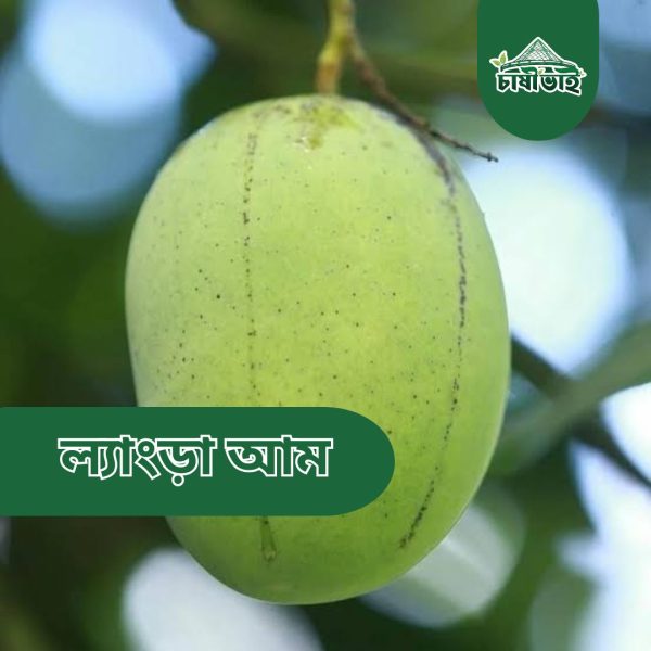 ল্যাংড়া আম